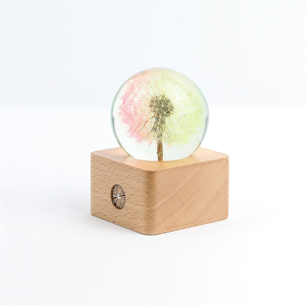 handmade Dandelion Lighting Ornament Material lamp light. Made for ParashuteHome.